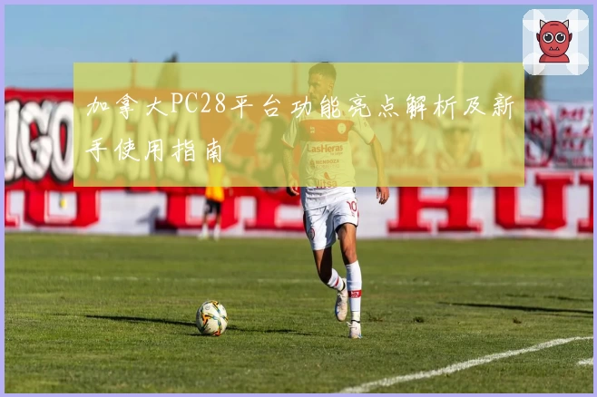 加拿大PC28平台功能亮点解析及新手使用指南