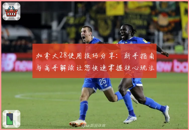 加拿大28使用技巧分享：新手指南与高手解读让您快速掌握核心玩法