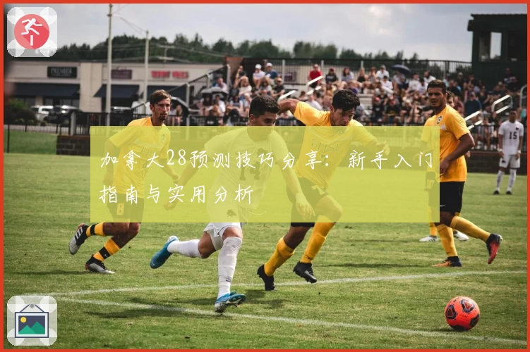 加拿大28预测技巧分享：新手入门指南与实用分析