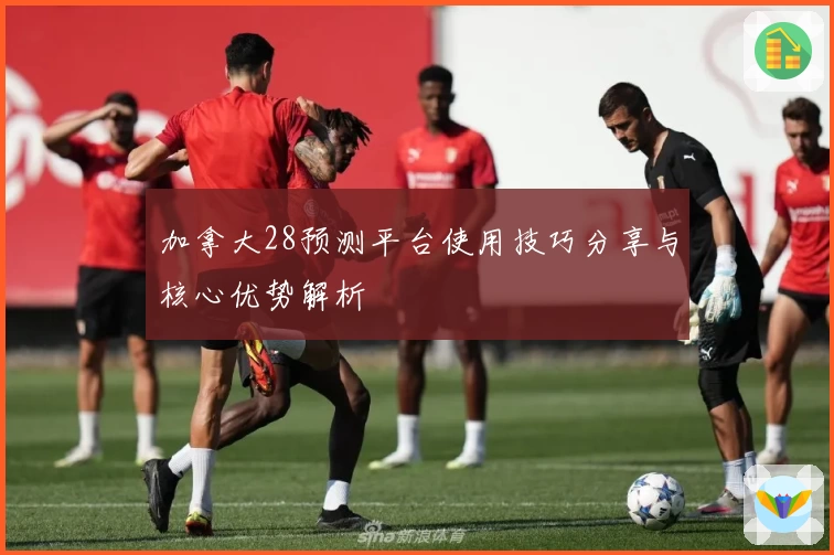 加拿大28预测平台使用技巧分享与核心优势解析