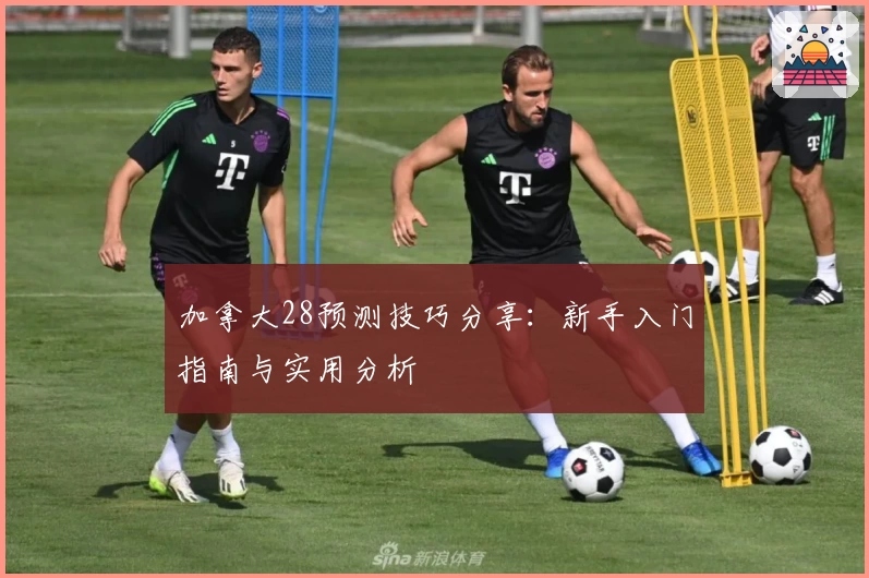 加拿大28预测技巧分享：新手入门指南与实用分析
