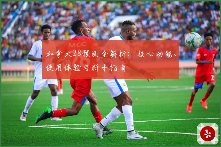 加拿大28预测全解析：核心功能、使用体验与新手指南