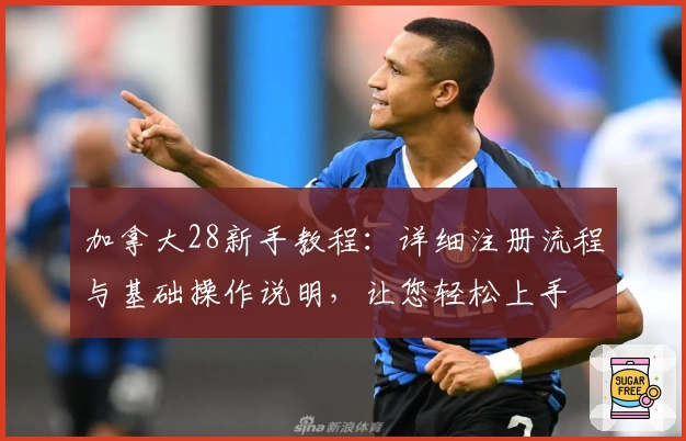 加拿大28新手教程：详细注册流程与基础操作说明，让您轻松上手